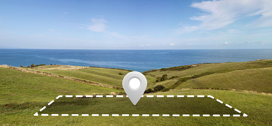 Professional Services