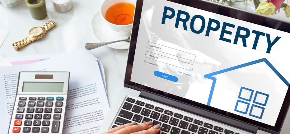 Professional Services